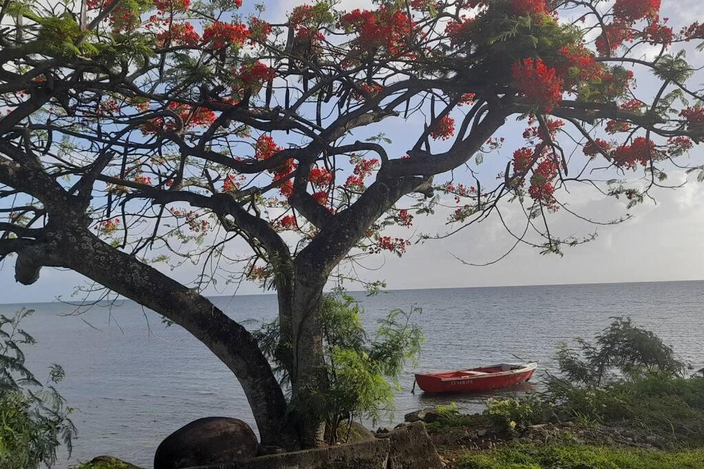La Kaz Du Pecheur Hébergement de vacances Sainte-Rose